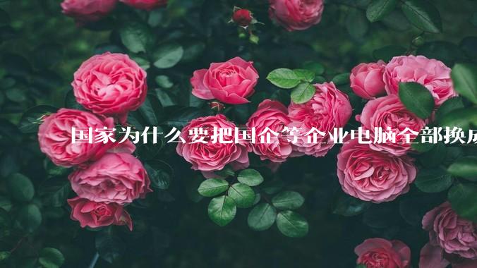 国家为什么要把国企等企业电脑全部换成Linux环境？能不能从专业的角度分析一下？