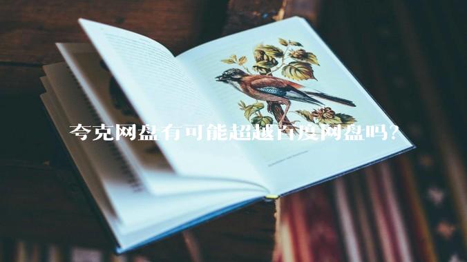 夸克网盘有可能超越百度网盘吗？