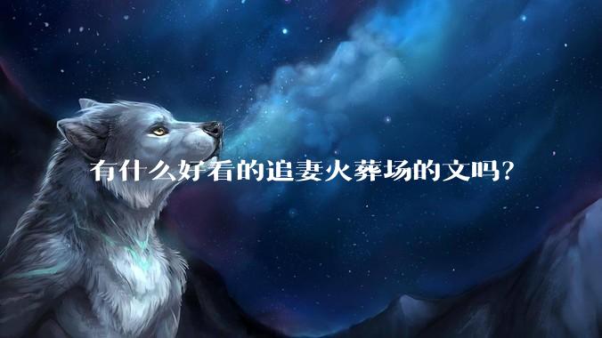 有什么好看的追妻火葬场的文吗？