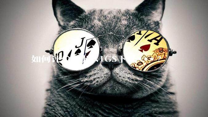 如何评价苏州N1GS下场***?