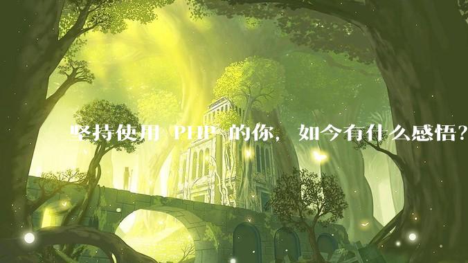 坚持使用 PHP 的你，如今有什么感悟？